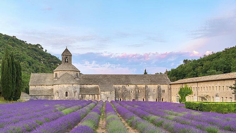 Lavendelfelder vor der Abtei in Sénanque