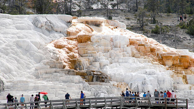 Yellowstone National Park