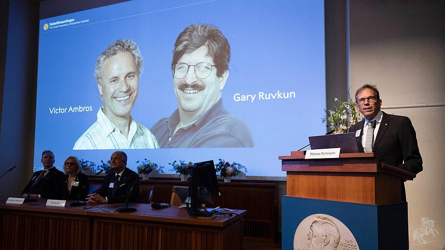 Victor Ambros und Gary Ruvkun erhalten Nobelpreis für Medizin