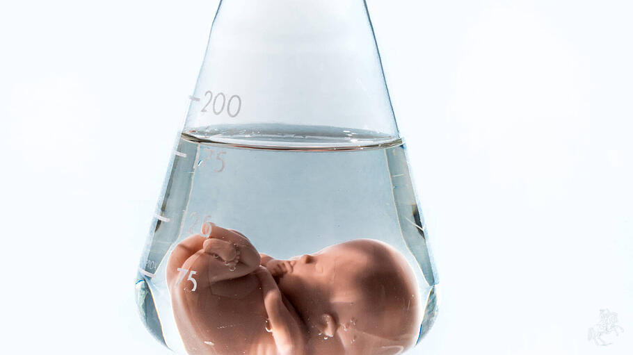 Modell eines Embryos in einem Laborglas