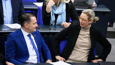AfD im Bundestag