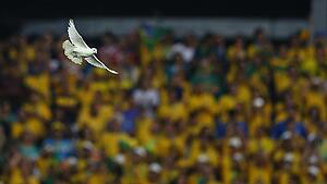 A dove flies after being released before the start of the 2014 World Cup opening match between Brazil and Croatia at the Corinthians arena in Sao Paul