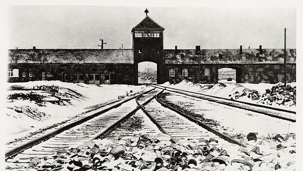 Auschwitz, Lagertor