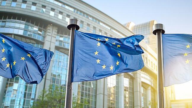 European union flag against parliament in Brussels
