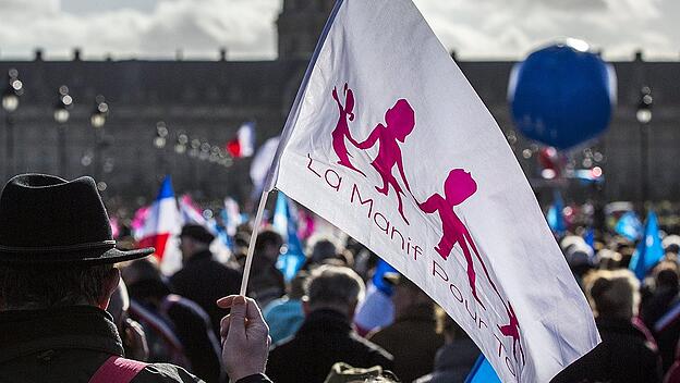 Demonstrators protest in Paris against the French government