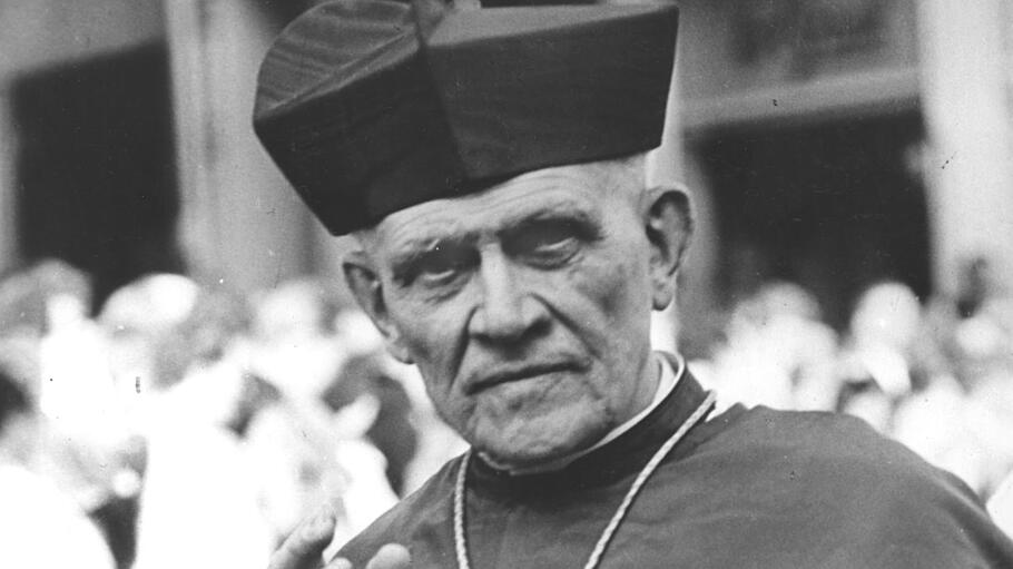 Kardinal Theodor Innitzer, Erzbischof von Wien