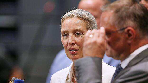 Alice Weidel und Tino Chrupalla
