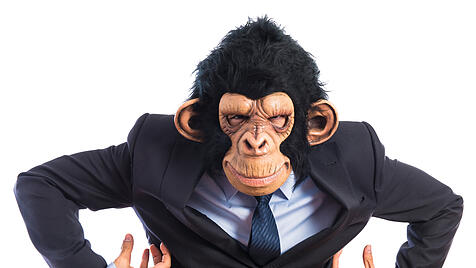 Monkey man