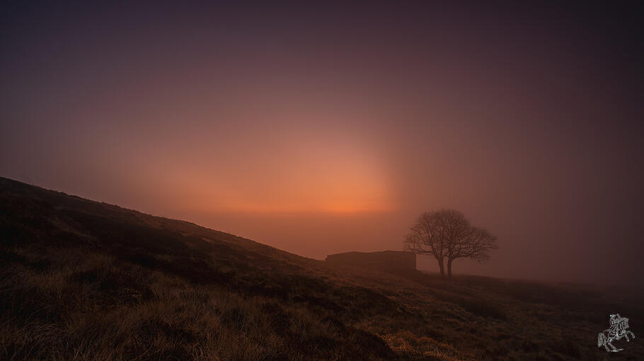 Moorlandschaft von Yorkshire