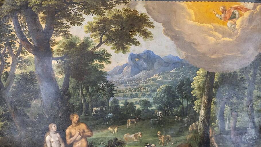 Die Sch&ouml;pfungsgeschichte in Wort und Bild