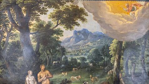 Die Sch&ouml;pfungsgeschichte in Wort und Bild