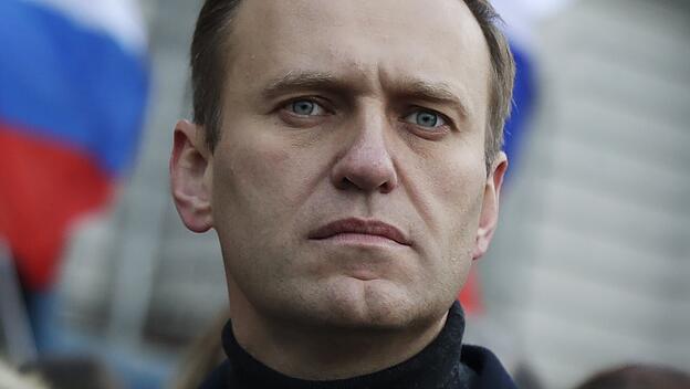 Alexej Nawalny, Rechtsanwalt und Putin-Gegner