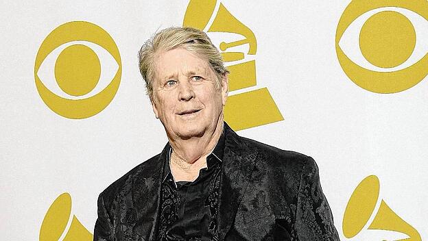 Brian Wilson, Musiker