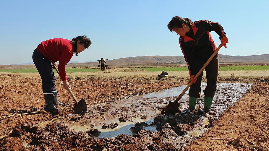 Situation in Nordkorea