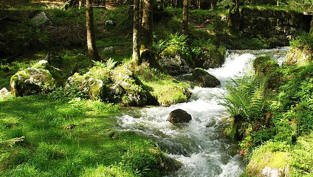 An Gott glauben: Die Quelle aller Wahrheiten und der persönlichen Beziehung zu ihm. An Gott glauben: Die Quelle aller Wahrheiten und der persönlichen Beziehung zu ihm.