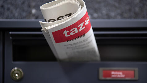taz