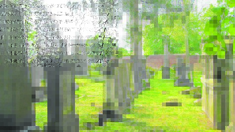 Friedhof