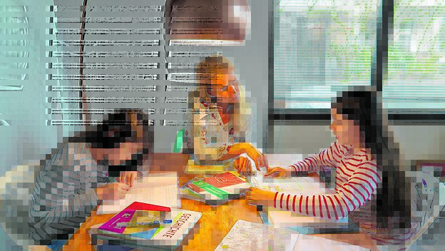 Plädoyer für das Homeschooling