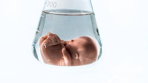 Wenn das Kind zum Produkt wird: Modell eines Embryos in einem Laborglas