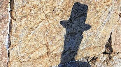 Orthodoxer Jude betet vor der Klagemauer.