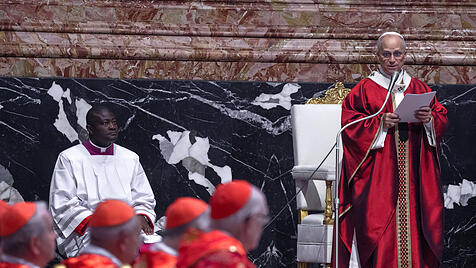 Papst Leo XIV., Kardinäle