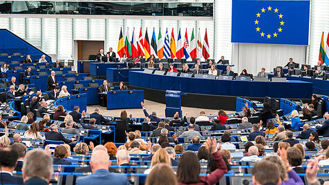 Das Europ&auml;ische Parlament nimmt die Muslimbruderschaft ins Visier