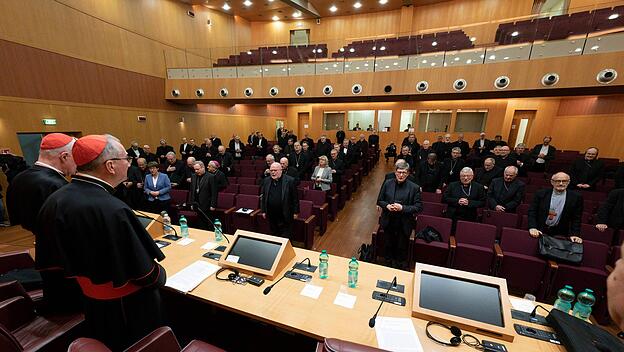 Deutsche Bischöfe versuchen international auf den deutschen Synodalen Weg aufmerksam zu machen