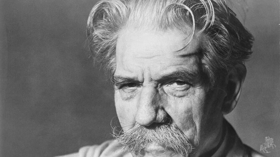 Albert Schweizer, Friedensnobelpreisträger