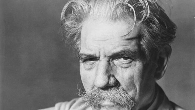 Albert Schweizer, Friedensnobelpreisträger