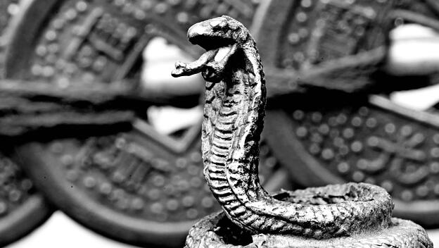 Die Schlange, Symbol der Hinterhältigkeit