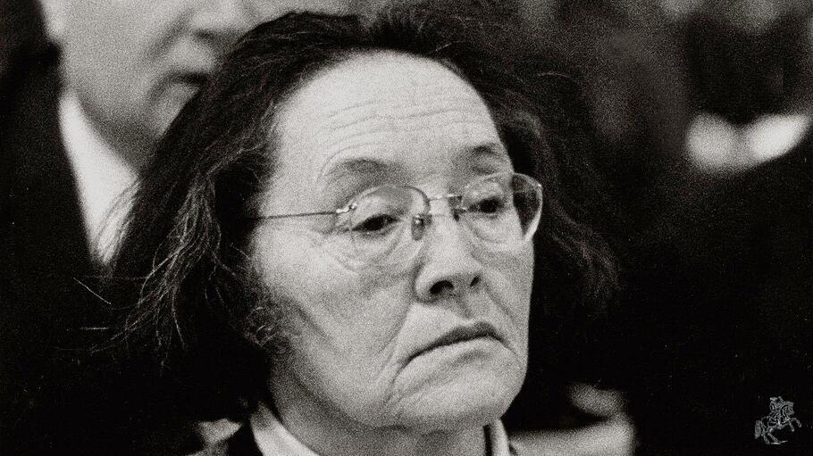 Ida Friederike Görres, Schriftstellerin und katholische Intellektuelle