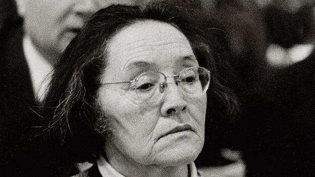 Ida Friederike Görres, Schriftstellerin und katholische Intellektuelle