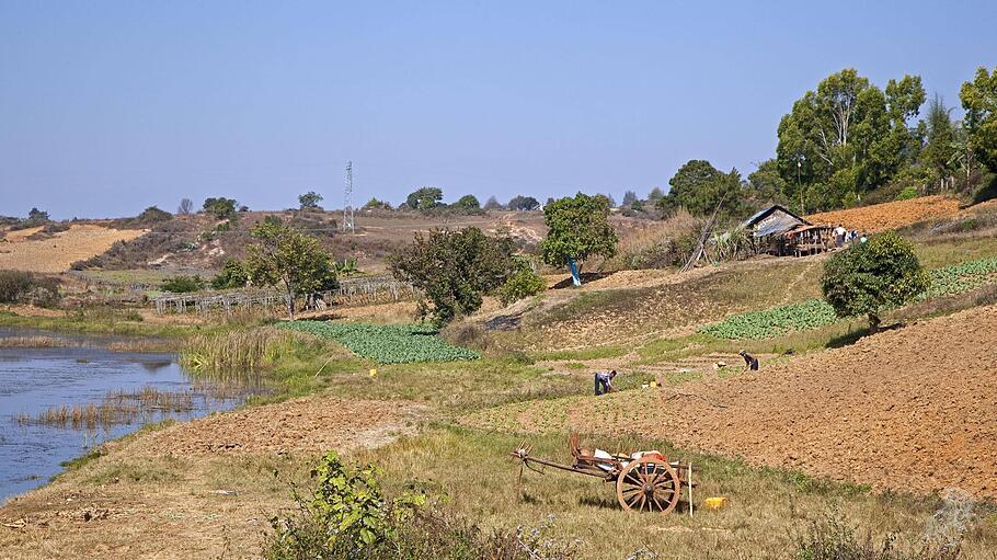 Birmanische Bauern