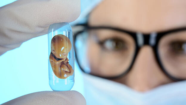 Embryo als Modell in Kapsel