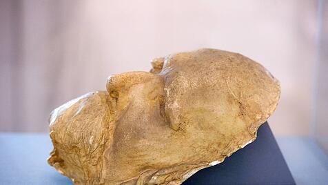 Die Totenmaske von Friedrich Nietzsche