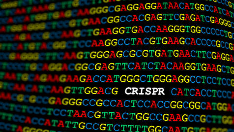 CRISPR/Cas9-Technologie