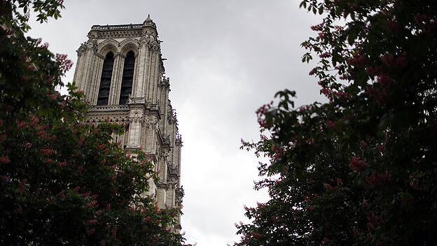 Erklärung der Pariser Erzdiözese zum Wiederaufbau Notre-Dames