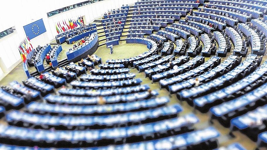 Das Europäische Parlament